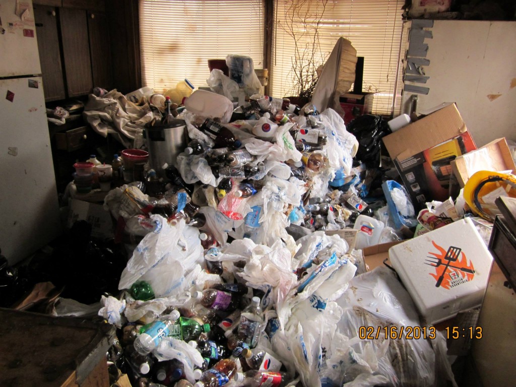 gross filth cleanup Ontario